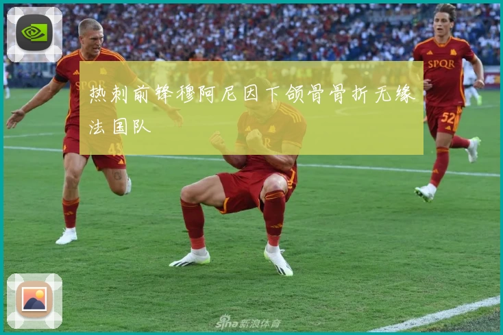 热刺前锋穆阿尼因下颌骨骨折无缘法国队