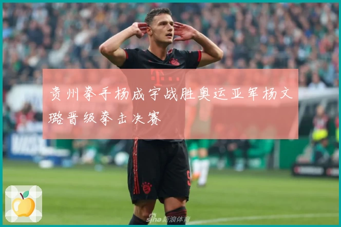 贵州拳手杨成宇战胜奥运亚军杨文璐晋级拳击决赛