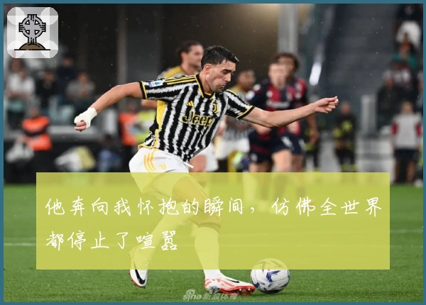 他奔向我怀抱的瞬间，仿佛全世界都停止了喧嚣