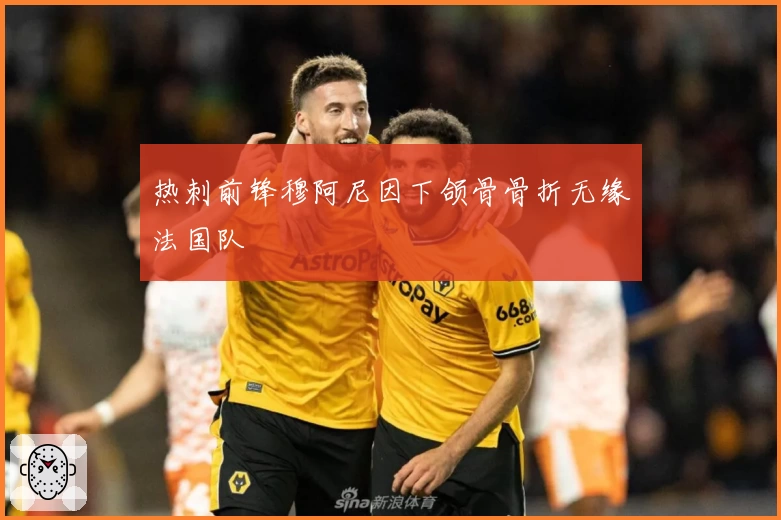 热刺前锋穆阿尼因下颌骨骨折无缘法国队