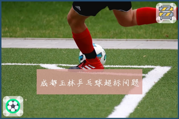 成都玉林乒乓球超标问题