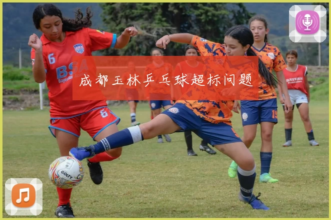 成都玉林乒乓球超标问题